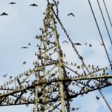 1609F 082 Spree und Havel